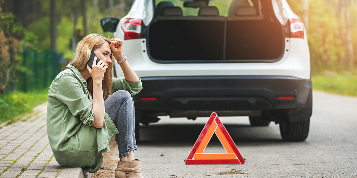 Vize Yol Yardım